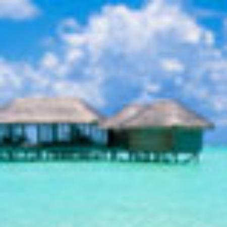 Dave & Sandy's Burger Bar